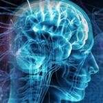 The Brain Game